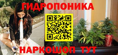 apvp Нарткала