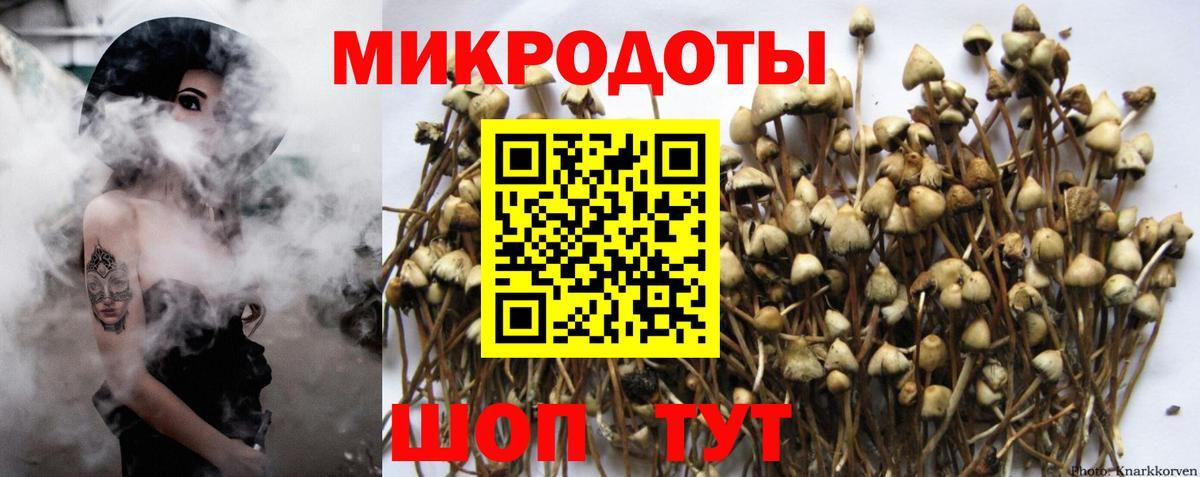 Псилоцибиновые грибы Magic Shrooms Ханты-Мансийск